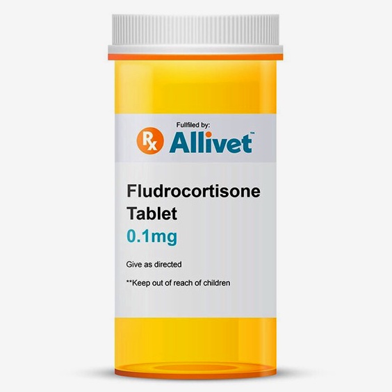 Fludrocortisone générique
