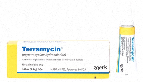 Terramycine générique 250mg