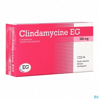 Clindamycin générique